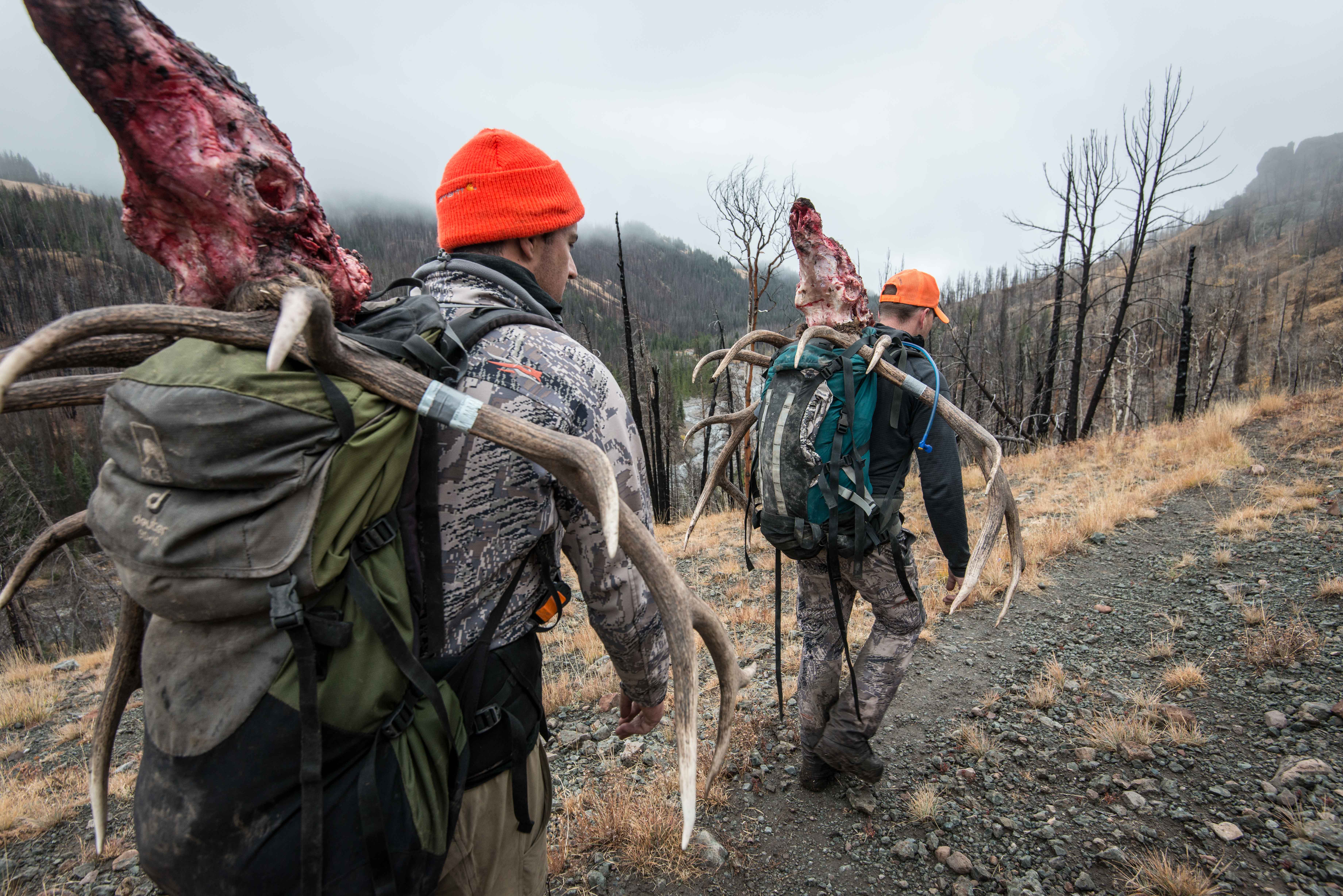 Tips For Packing Elk Out Of the Backcountry: On Foot | Stalking The Seam